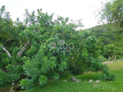 Área à venda em Vinhedo, Monte Alegre, com 64551 m²